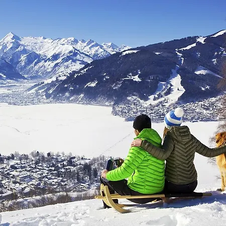 Dd Zell Am