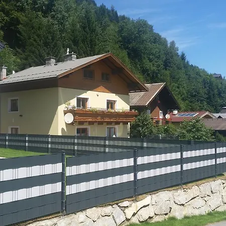 Dd Zell Am
