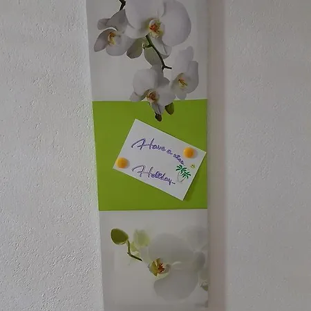 Dd Zell Am Zell am See