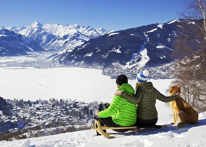 Dd Zell Am