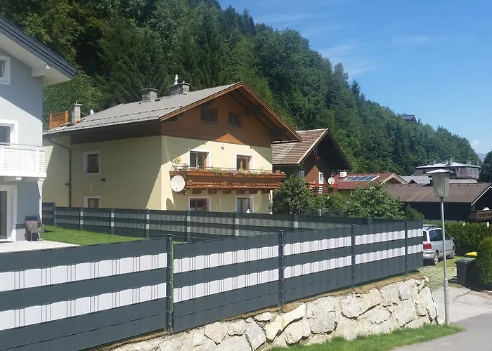 Dd Zell Am